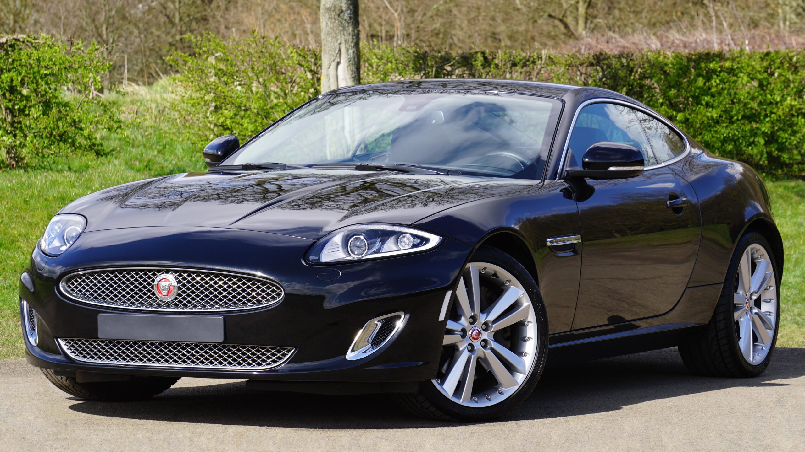 Vehiculo automovil Vehiculo automovil